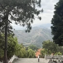 曲靖旅游 缩略图 15