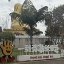 曲靖旅游 缩略图 10