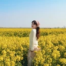 扬州旅游 缩略图 1