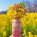 上海旅游 缩略图 2