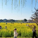 上海旅游 缩略图 5
