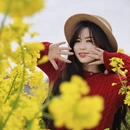 衢州旅游 缩略图 5