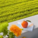 大理州旅游 缩略图 10