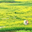 黔西南旅游 缩略图 4