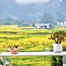 黔西南旅游 缩略图 8