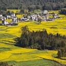 昆明旅游 缩略图 1