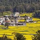 昆明旅游 缩略图 2