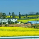 昆明旅游 缩略图 8