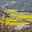 昆明旅游 缩略图 3
