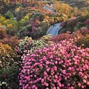 贵阳旅游 缩略图 2