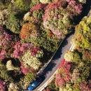 贵阳旅游 缩略图 3