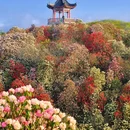 贵阳旅游 缩略图 7