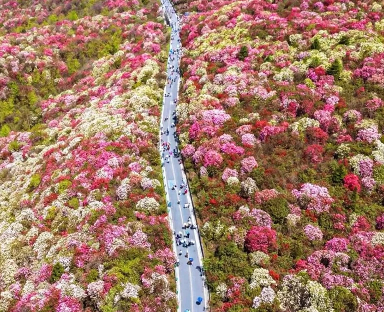 贵阳旅游 1