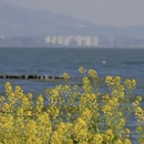 昆明旅游 缩略图 7