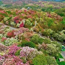 贵阳旅游 缩略图 4