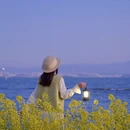 昆明旅游 缩略图 8