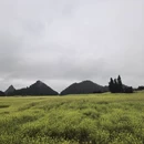 昆明旅游 缩略图 4