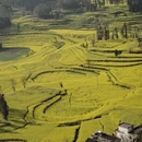 黔东南旅游 缩略图 6