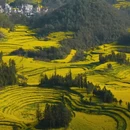 黔东南旅游 缩略图 9