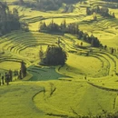黔东南旅游 缩略图 13