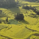 黔东南旅游 缩略图 11