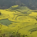 黔东南旅游 缩略图 12