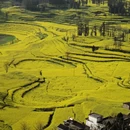 黔东南旅游 缩略图 10