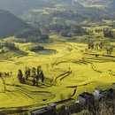 黔东南旅游 缩略图 17