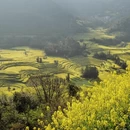 黔东南旅游 缩略图 14