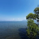昆明旅游 缩略图 7