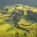 黔东南旅游 缩略图 16