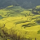 黔东南旅游 缩略图 15