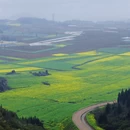 昆明旅游 缩略图 9