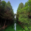 昆明旅游 缩略图 10