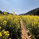 昆明旅游 缩略图 2