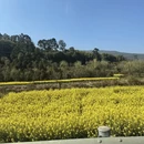 昆明旅游 缩略图 8