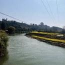 昆明旅游 缩略图 9