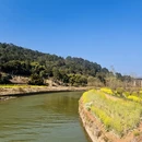 昆明旅游 缩略图 10