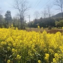 昆明旅游 缩略图 5