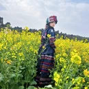 昆明旅游 缩略图 8