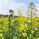 昆明旅游 缩略图 7