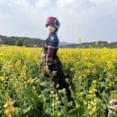 昆明旅游 缩略图 6