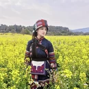 昆明旅游 缩略图 12