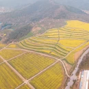 无锡旅游 缩略图 16