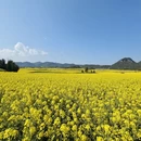 昭通旅游 缩略图 5