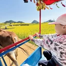 昭通旅游 缩略图 3