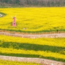 无锡旅游 缩略图 17