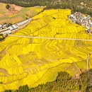 保山旅游 缩略图 2