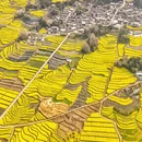 保山旅游 缩略图 4