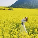 昭通旅游 缩略图 7